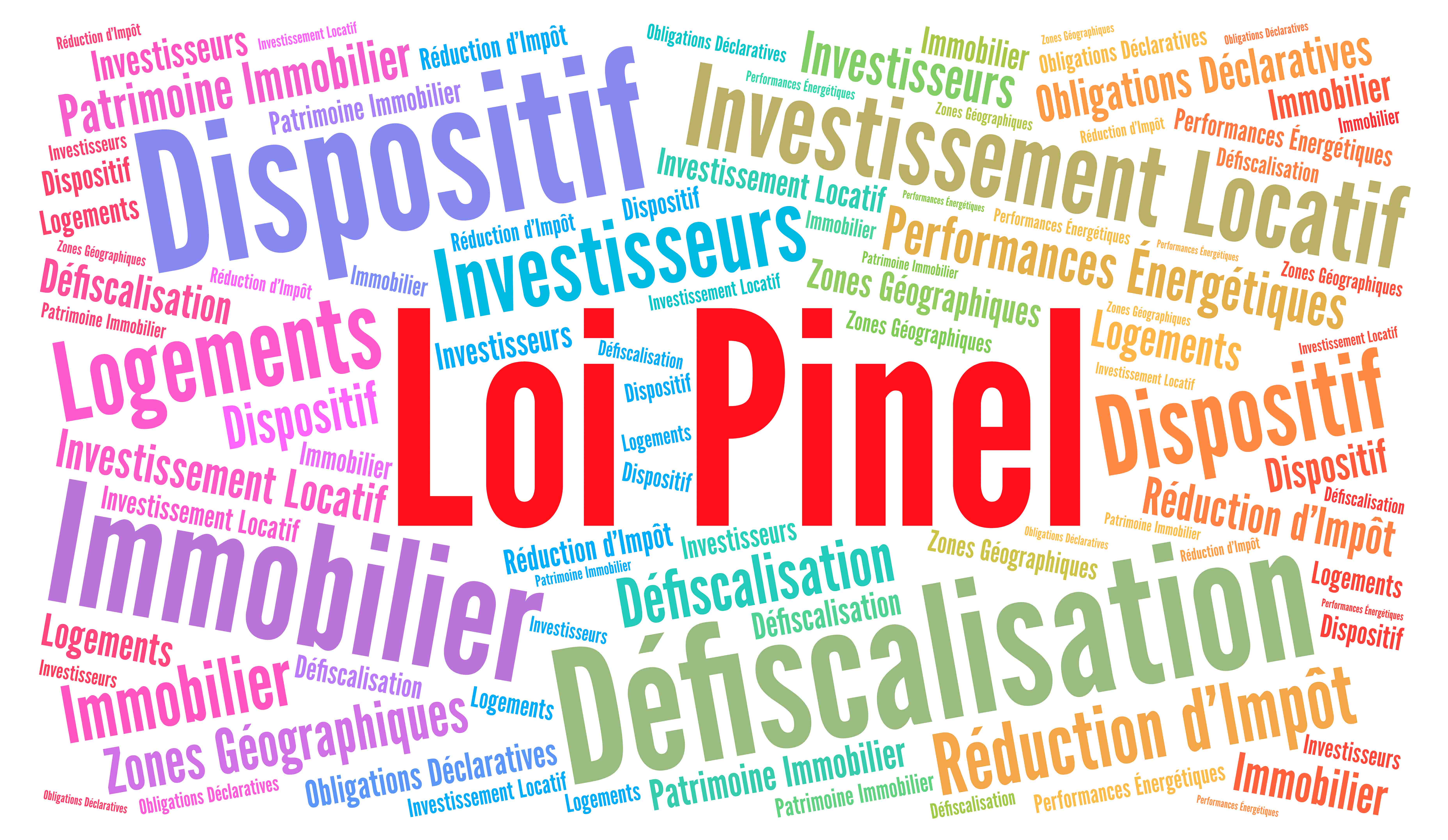 La loi Pinel pour les professionnels