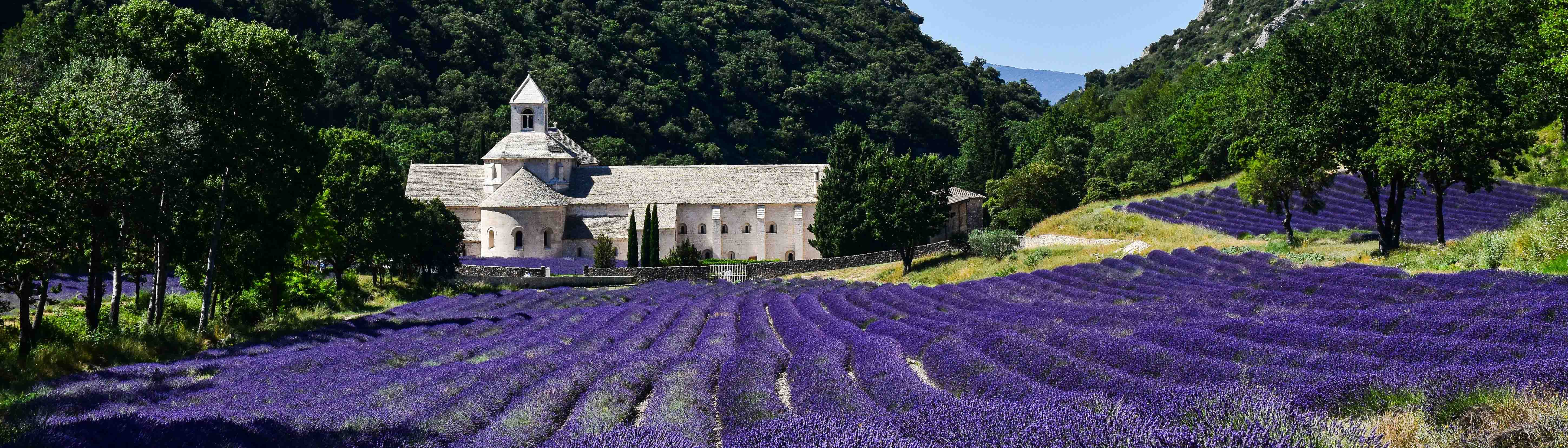 Vaucluse